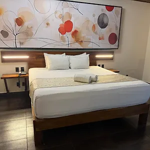 Kavia 5th Avenida (adults Only) Hotell
